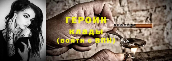 гашик Гусев