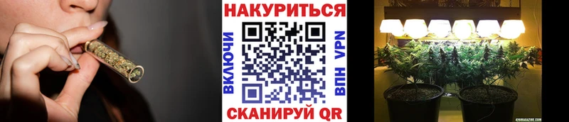 Купить закладки  Кингисепп  Марихуана SATIVA & INDICA 